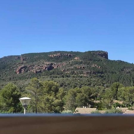 Au Pied Des Gorges Du Blavet Et A 20Min Des Plages Roquebrune-sur-Argens Eksteriør billede